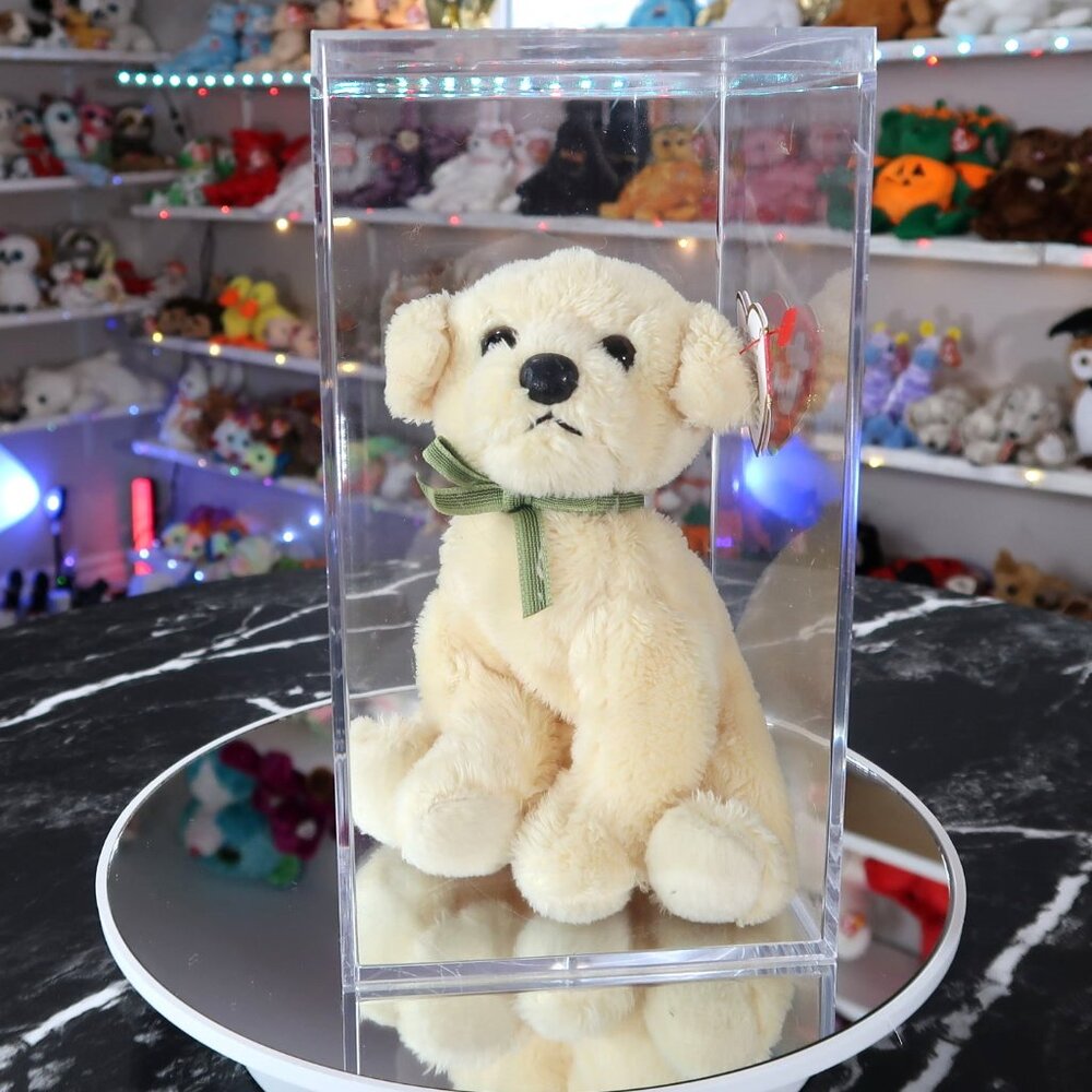 TY Beanie Baby - Bounds the Dog (SEE TUSH TAGS)